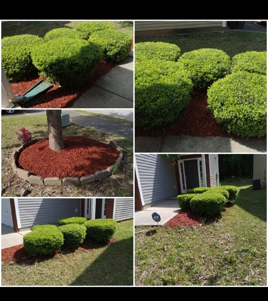 Expert landscape installation in Covington, GA - Darcella's Lawn Service