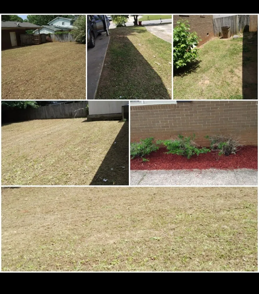 Custom lawn care service in Covington, GA by Darcella's Lawn Service