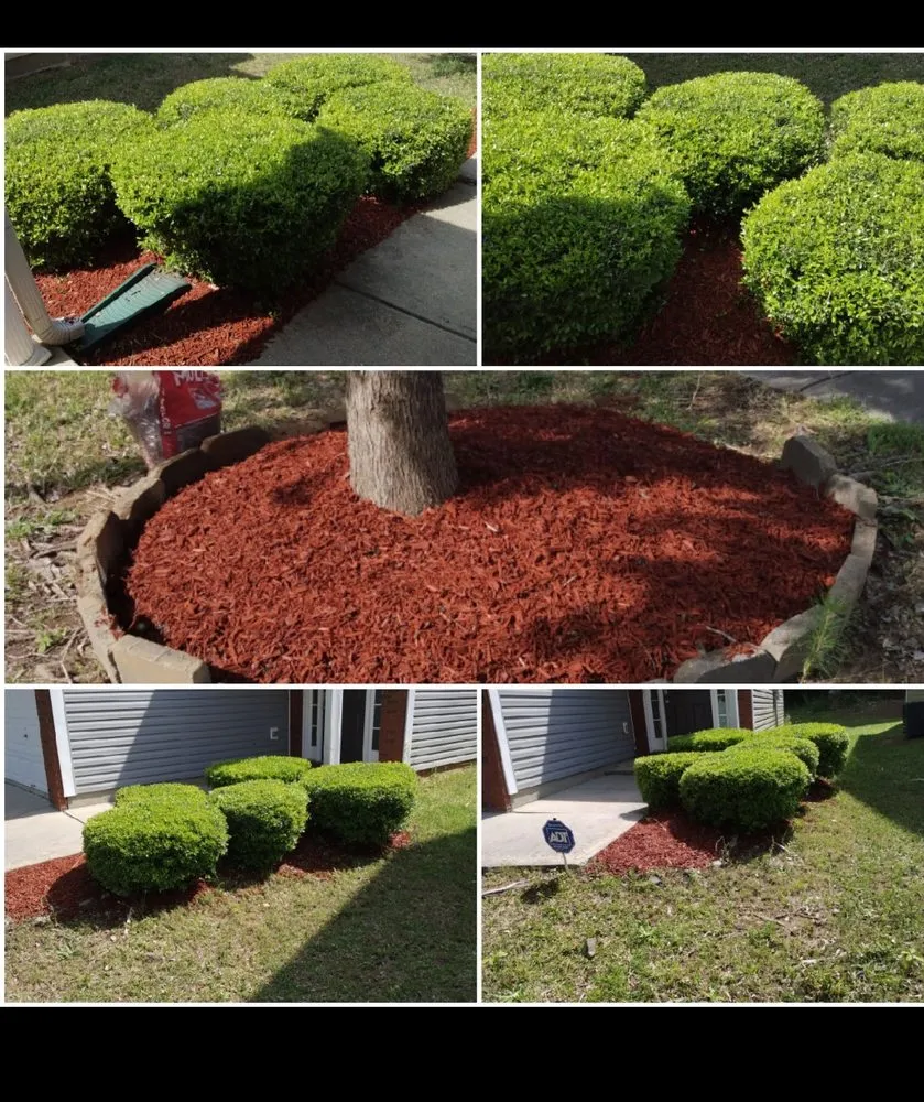 Expert lawn care service near you in Covington, GA by Darcella's Lawn Service