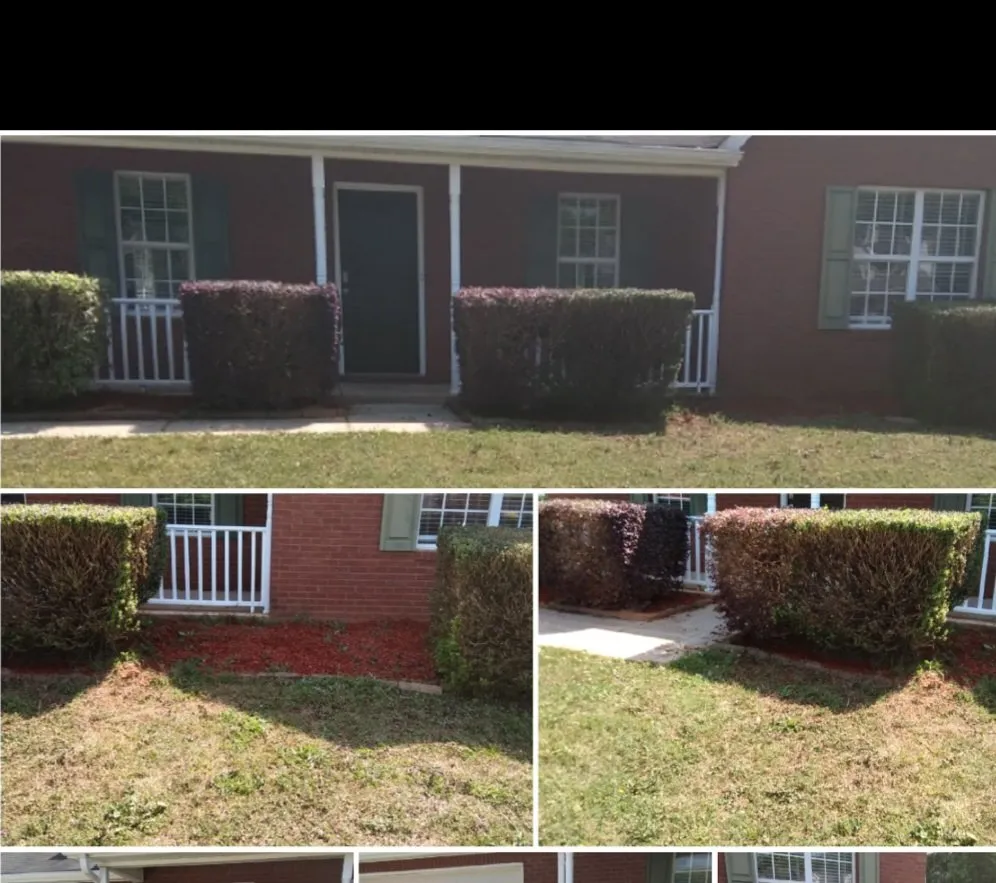 Professional lawn mowing service in Covington, GA by Darcella's Lawn Service