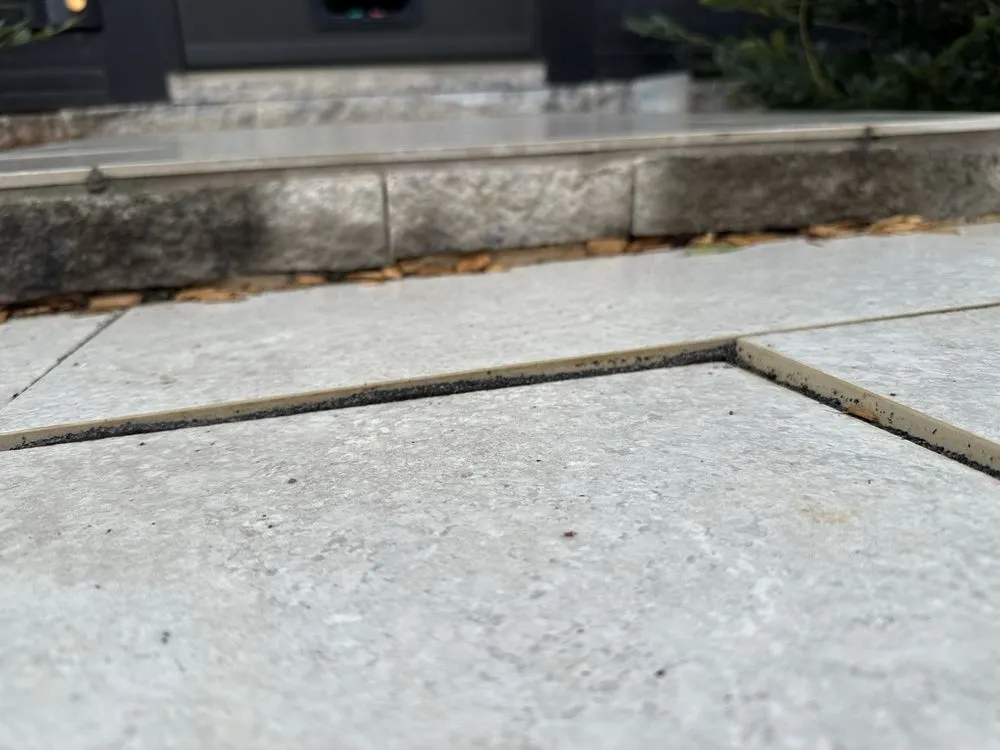 Professional yard cleanup service in Wake Forest, NC by Darco Landscaping