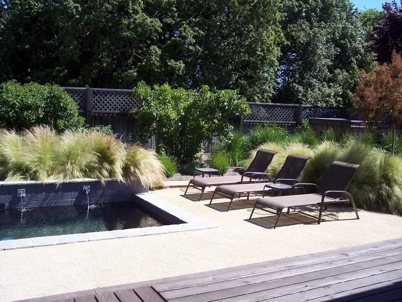 Local garden landscaping in Sonoma, CA by Darcy's Garden