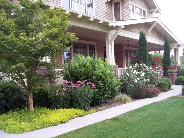 Custom yard cleanup service experts serving Sonoma, CA - Darcy's Garden