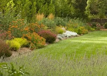 Top-rated landscaping services experts serving Sonoma, CA - Darcy's Garden