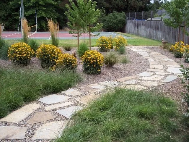 Trusted residential landscaping in Sonoma, CA by Darcy's Garden