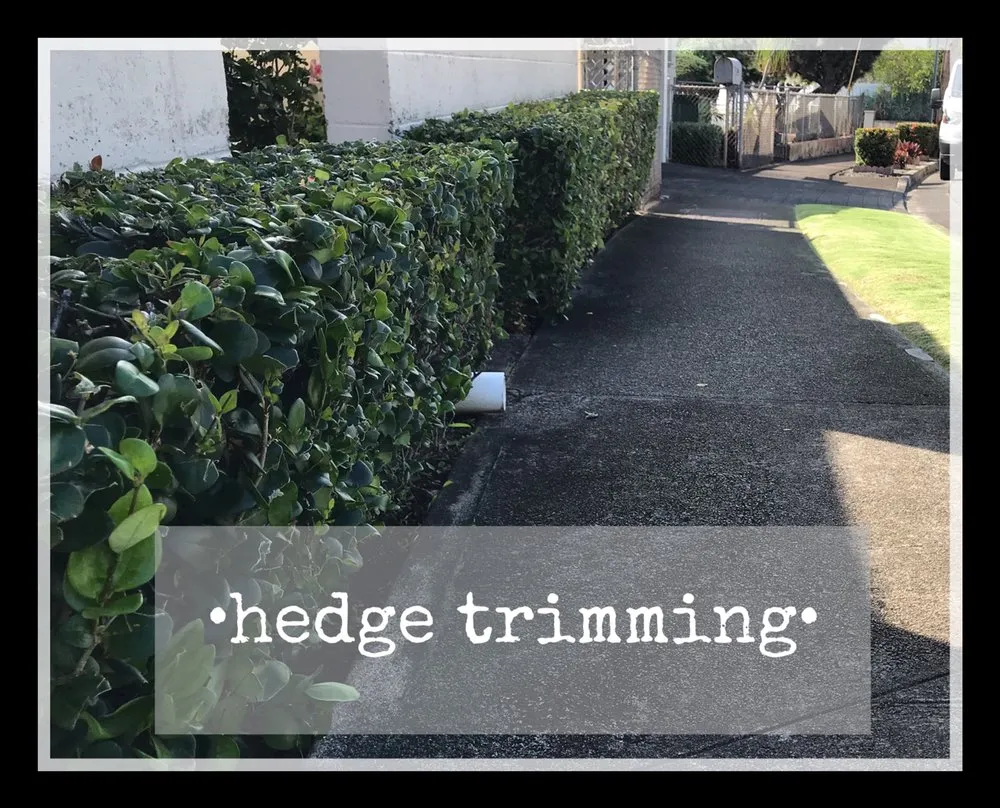 Custom landscaping services for homes in Honolulu, HI by Daren Lawn Care