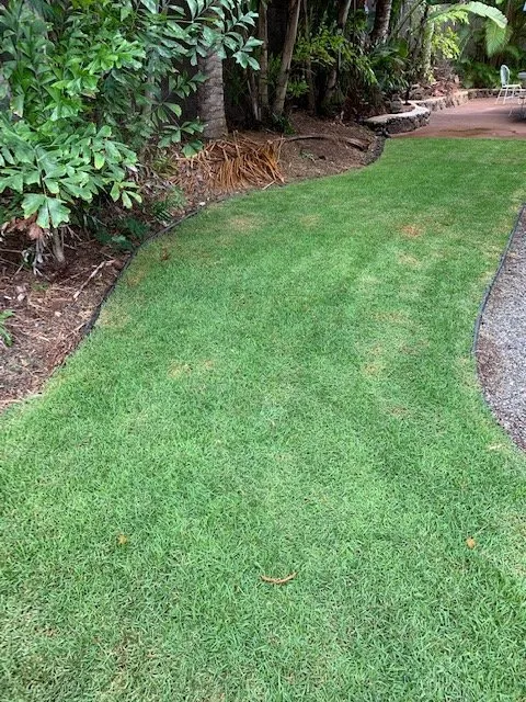 Top-rated landscape installation for year-round maintenance across Honolulu, HI - Daren Lawn Care