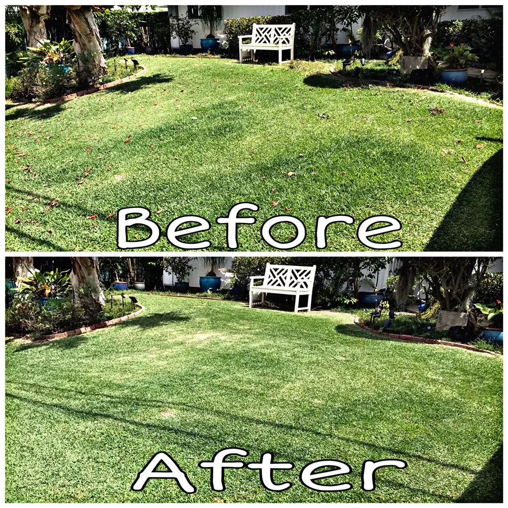 Reliable residential landscaping in Honolulu, HI - Daren Lawn Care