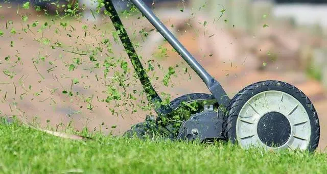 Top-rated outdoor landscaping in Honolulu, HI by Daren Lawn Care