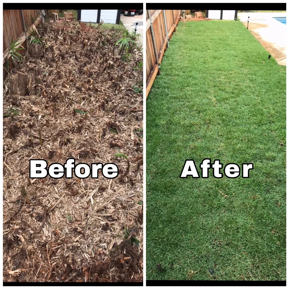 Expert outdoor landscaping experts serving Honolulu, HI - Daren Lawn Care