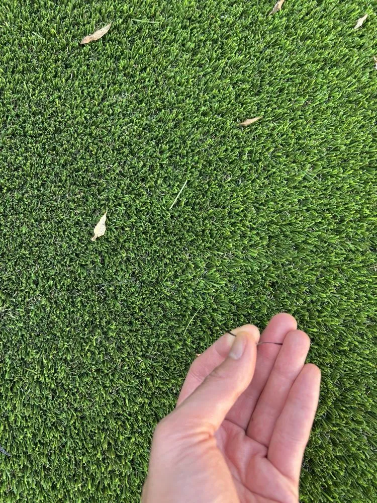 Custom yard cleanup service for homes in Rosemead, CA by Darey's Turf