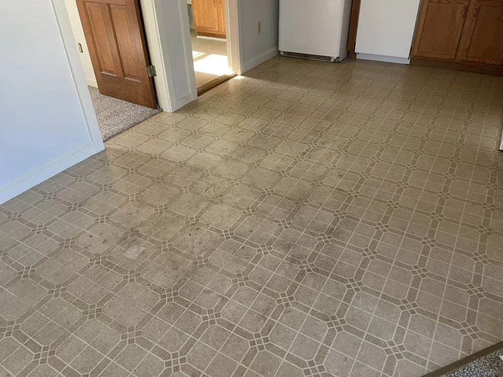 Reliable residential landscaping in Bath, ME by D'Ariano Grounds Maintenance