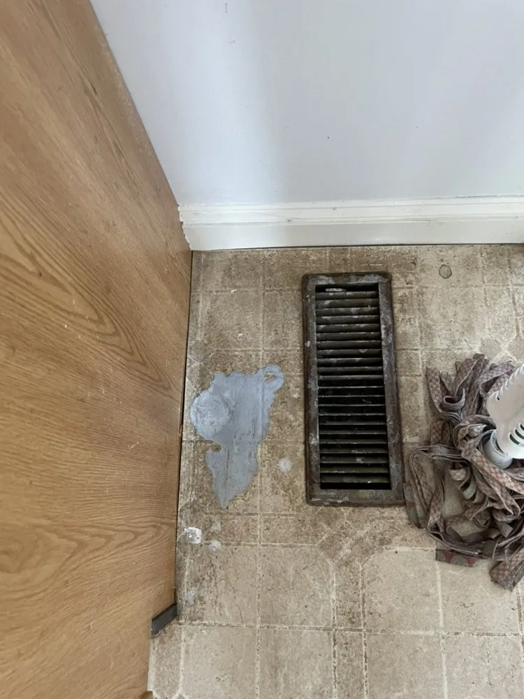 Top-rated lawn mowing service for beautiful yards in Bath, ME by D'Ariano Grounds Maintenance