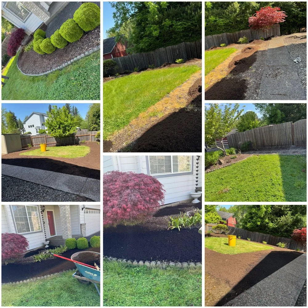 Reliable outdoor landscaping for homes across Aloha, OR - Dariel Alvaro Landscaping
