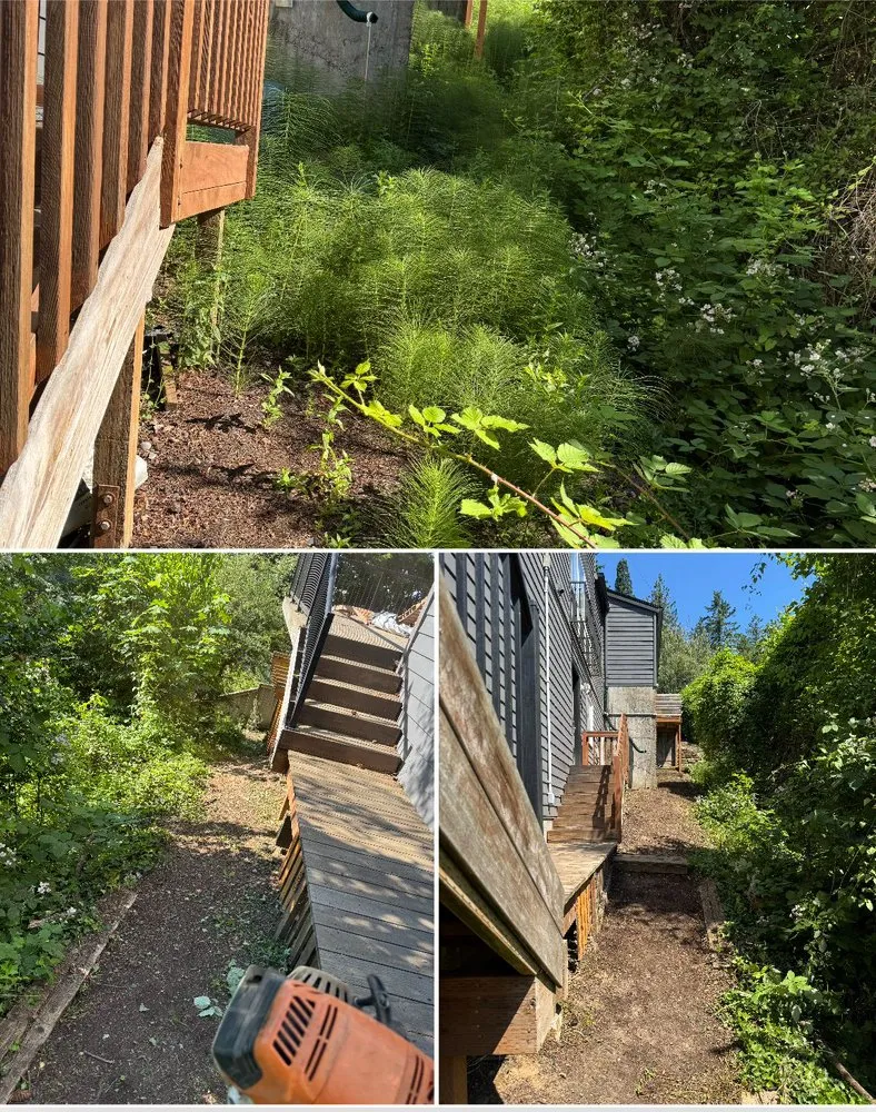 Custom yard cleanup service near you in Aloha, OR by Dariel Alvaro Landscaping