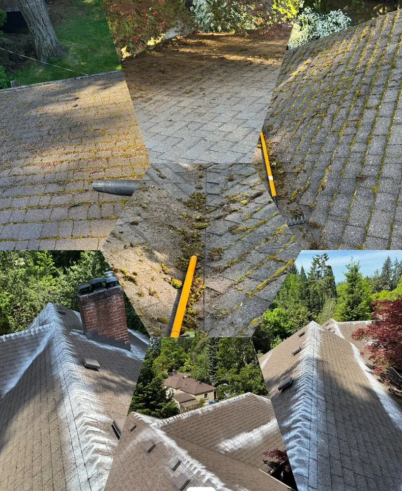 Professional garden landscaping for outdoor upgrades in Aloha, OR by Dariel Alvaro Landscaping