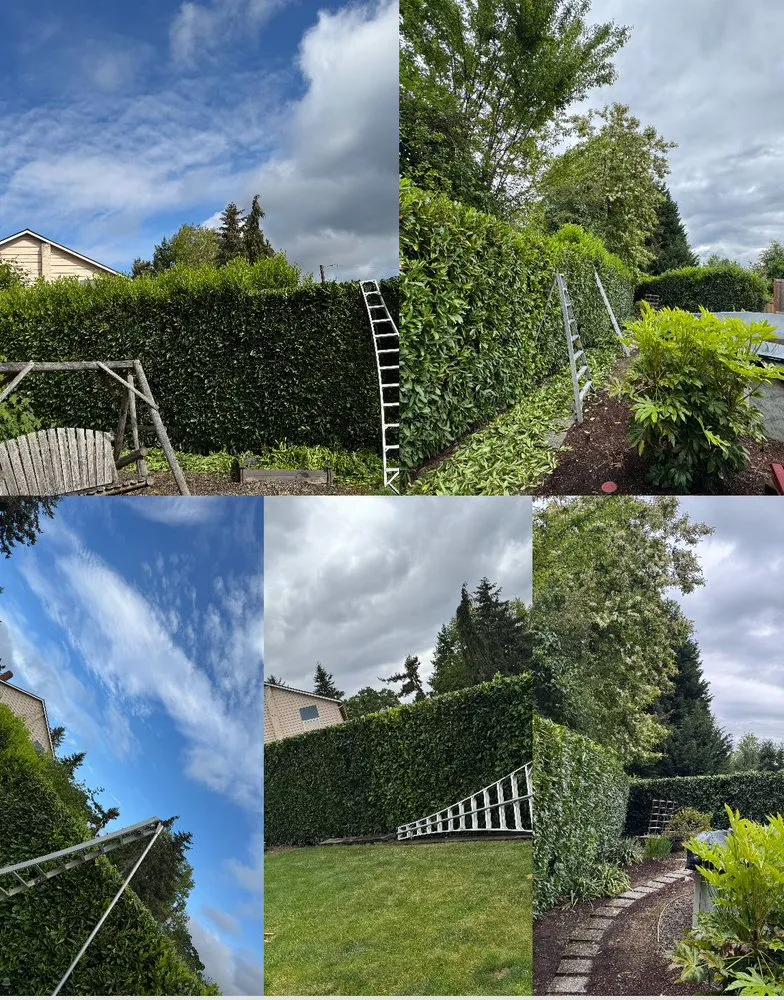 Affordable yard maintenance in Aloha, OR by Dariel Alvaro Landscaping