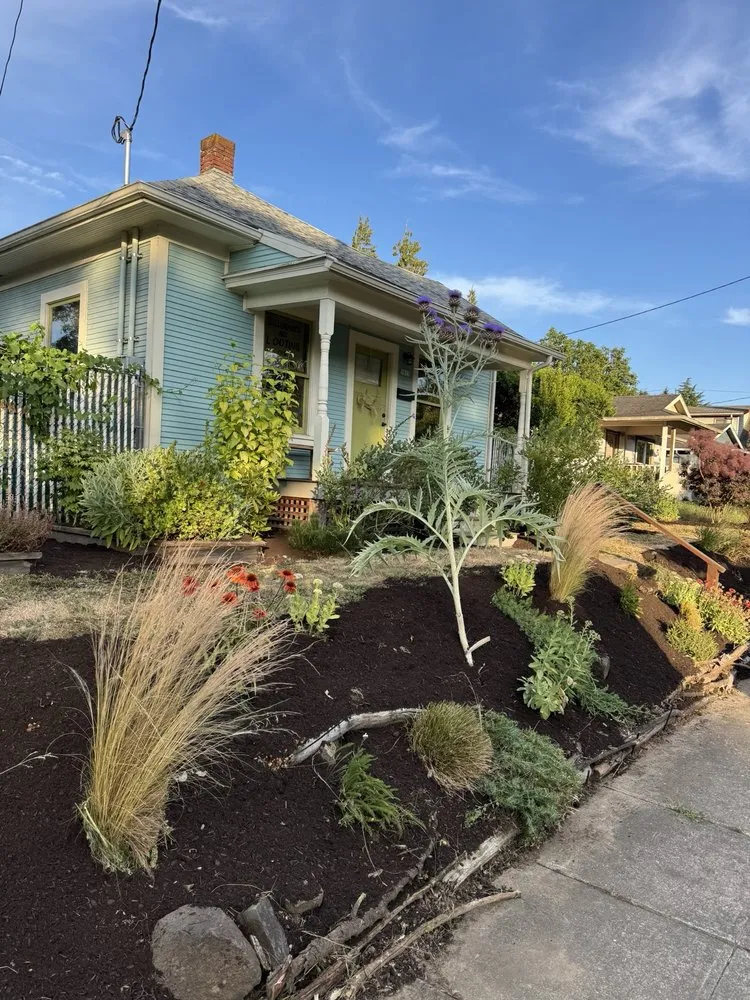 Expert outdoor landscaping for beautiful yards across Aloha, OR - Dariel Alvaro Landscaping