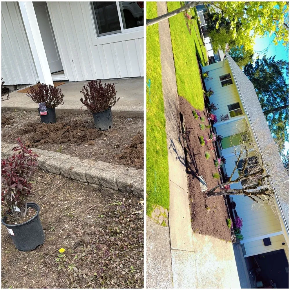 Local lawn mowing service in Aloha, OR - Dariel Alvaro Landscaping