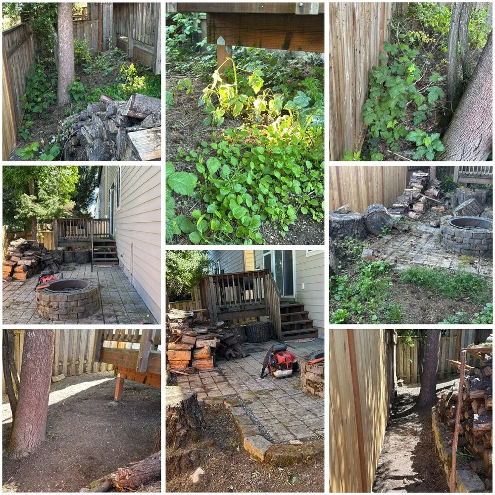 Professional residential landscaping experts serving Aloha, OR - Dariel Alvaro Landscaping