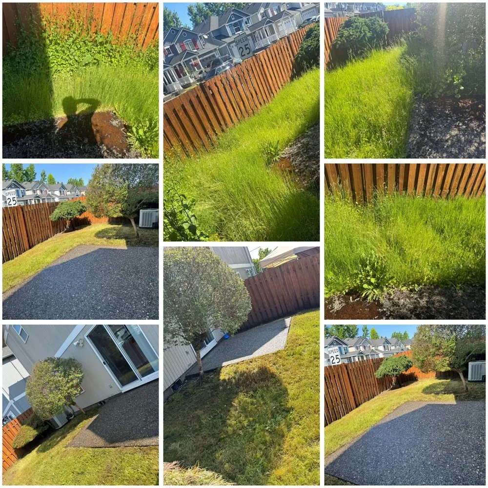 Local lawn mowing service experts serving Aloha, OR - Dariel Alvaro Landscaping