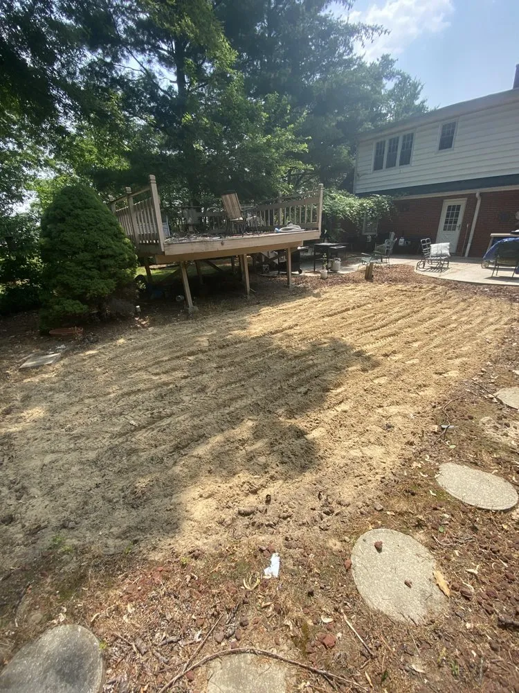Reliable yard cleanup service experts serving Ridgeville Corners, OH - Darin Warfield Lawn & Landscape