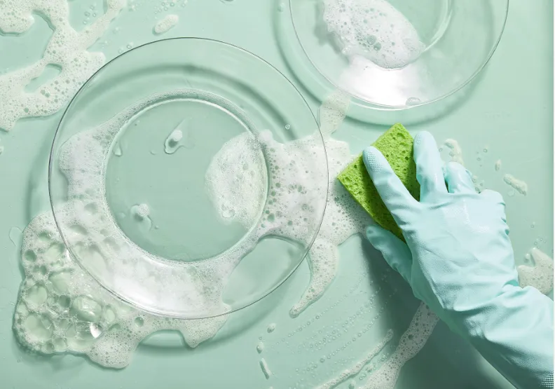 Affordable yard maintenance in East Palo Alto, CA by Darinel Garden Service