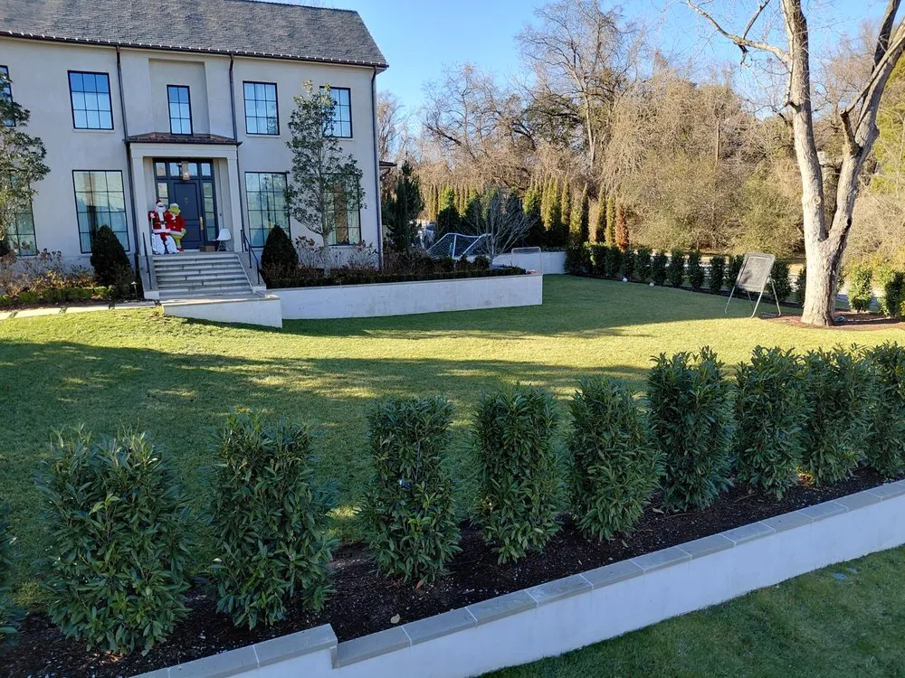 Local yard maintenance experts serving Columbia, TN - Darinel Salas