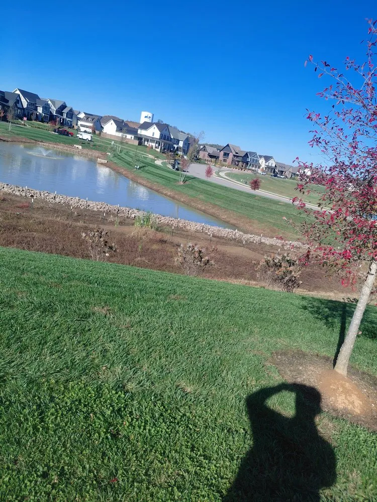 Trusted landscape installation for outdoor upgrades across Columbia, TN - Darinel Salas