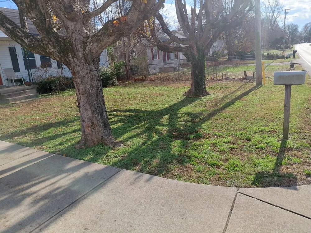 Affordable outdoor landscaping for residential properties across Columbia, TN - Darinel Salas