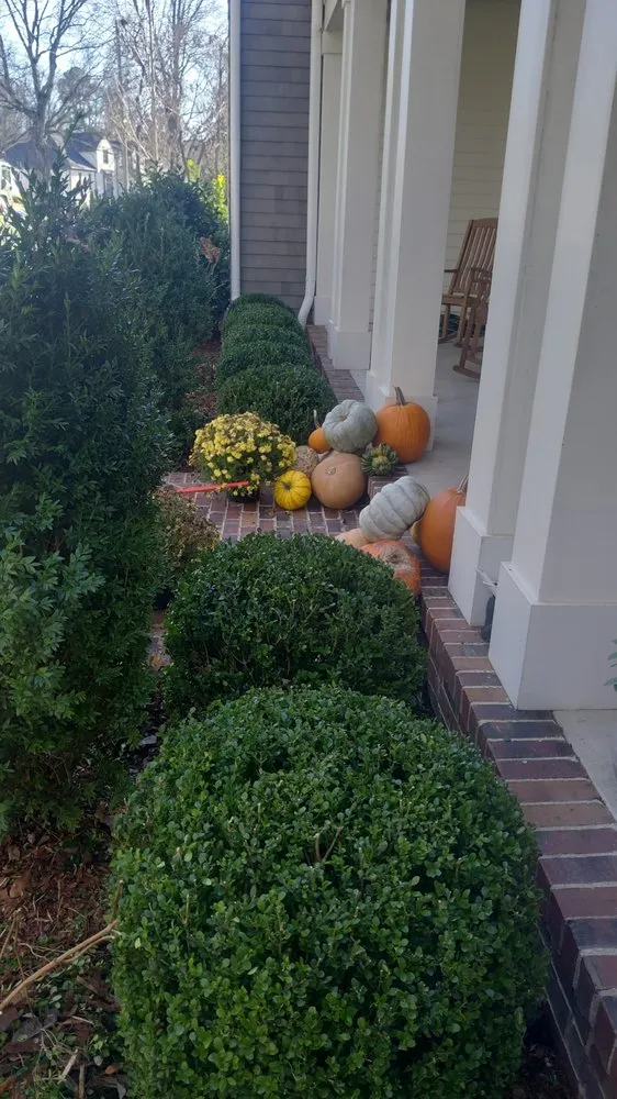 Top-rated yard maintenance near you in Columbia, TN by Darinel Salas