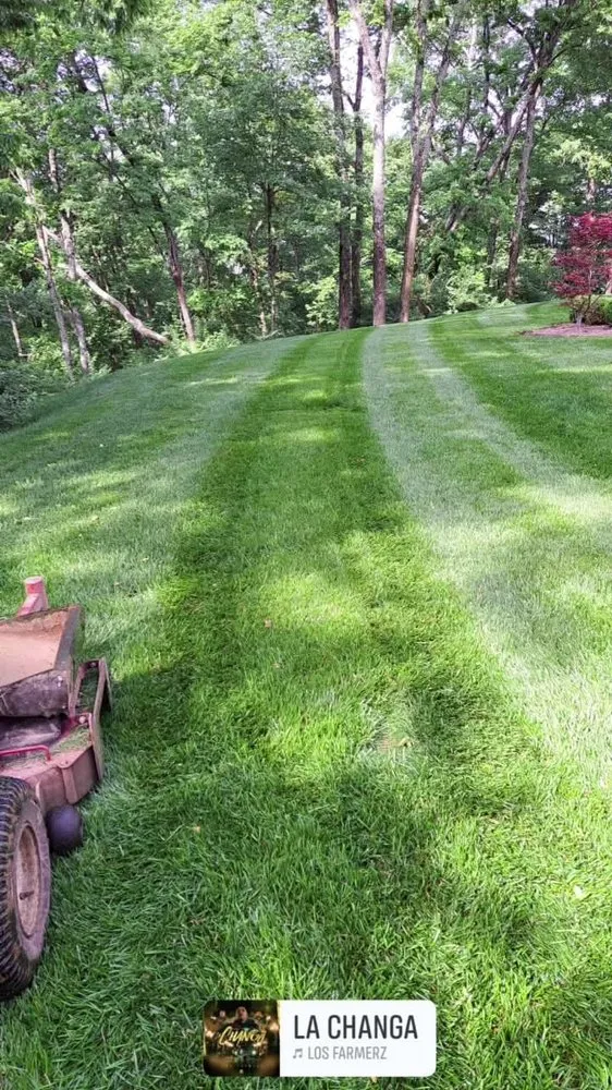 Custom residential landscaping in Columbia, TN by Darinel Salas