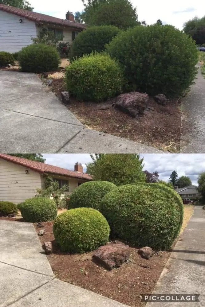 Top-rated lawn mowing service for residential properties in Culpeper, VA by Darinels Tree Service