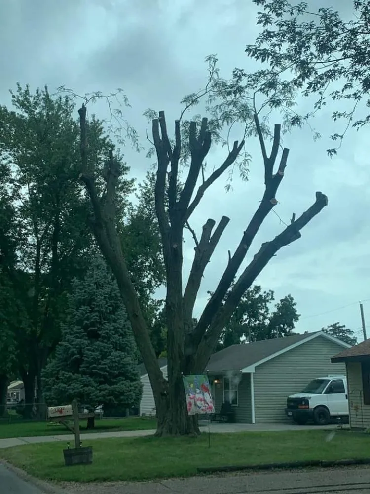 Affordable garden landscaping for homes across Culpeper, VA - Darinels Tree Service