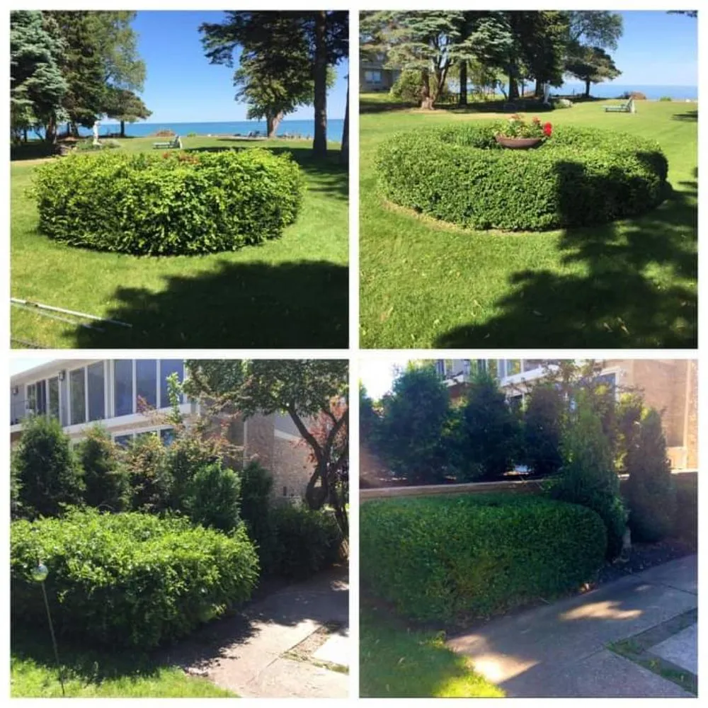 Affordable landscaping services in Culpeper, VA by Darinels Tree Service