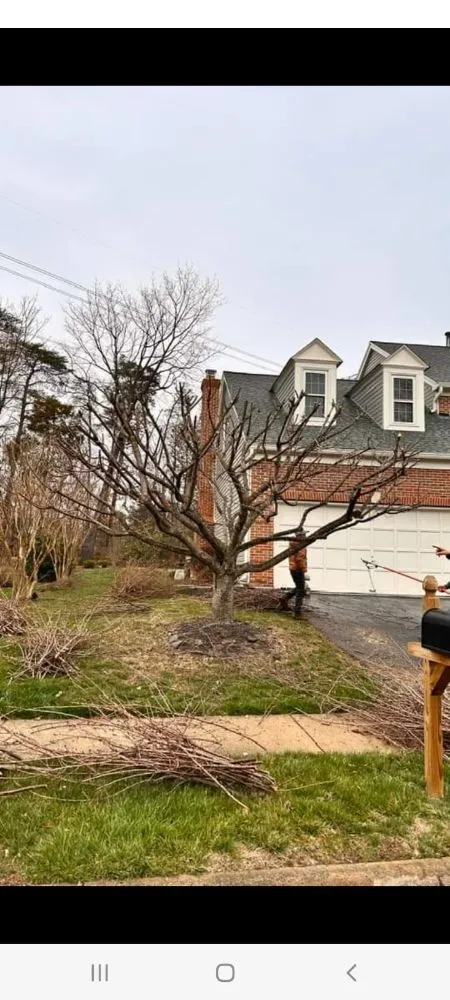 Custom outdoor landscaping near you in Culpeper, VA by Darinels Tree Service