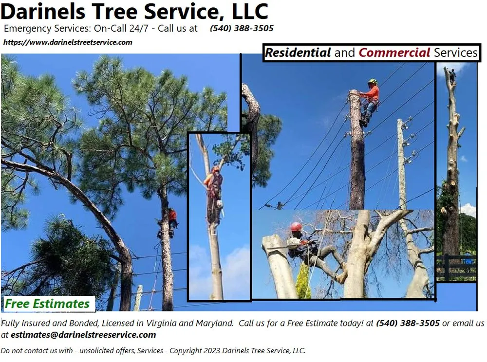 Top-rated landscape installation in Culpeper, VA by Darinels Tree Service