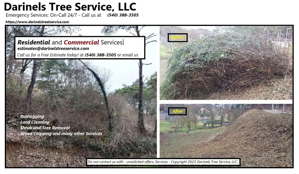 Reliable yard cleanup service in Culpeper, VA by Darinels Tree Service