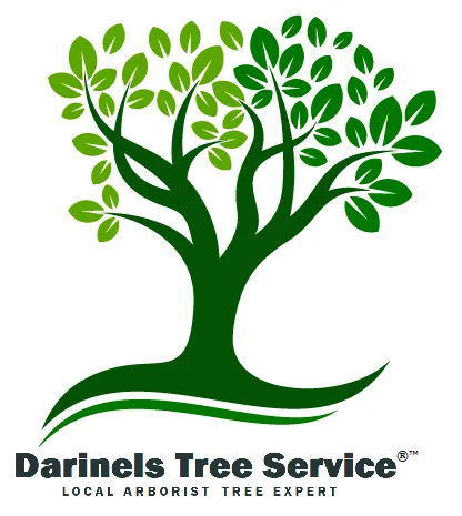 Top-rated yard maintenance near you across Culpeper, VA - Darinels Tree Service