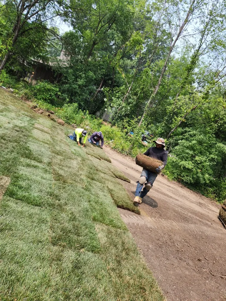 Top-rated lawn care service experts serving Lyons, IL - Dario Garcia Landscaping