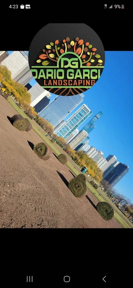 Affordable landscape design in Lyons, IL by Dario Garcia Landscaping