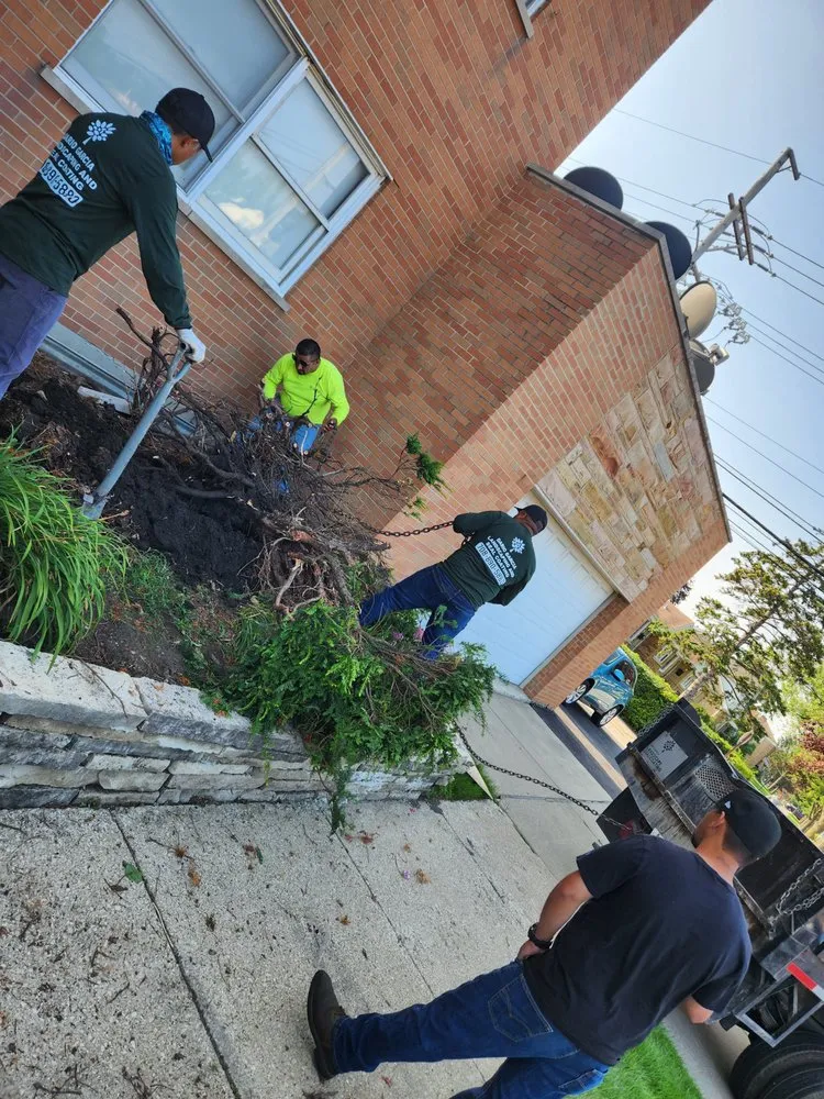 Reliable lawn mowing service in Lyons, IL - Dario Garcia Landscaping