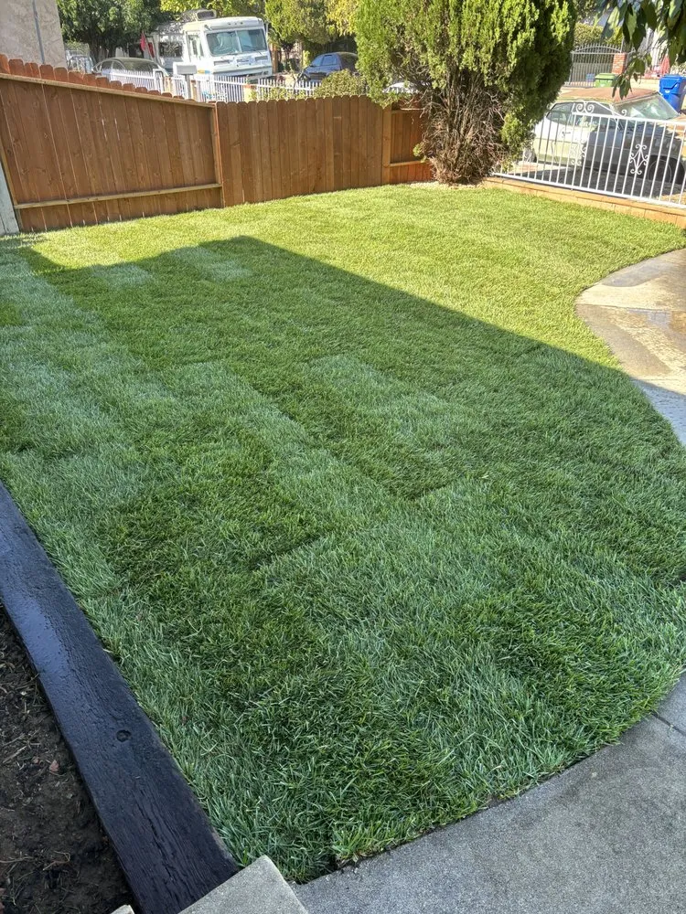 Reliable landscape design near you in Kagel Canyon, CA by Dario Landscaping