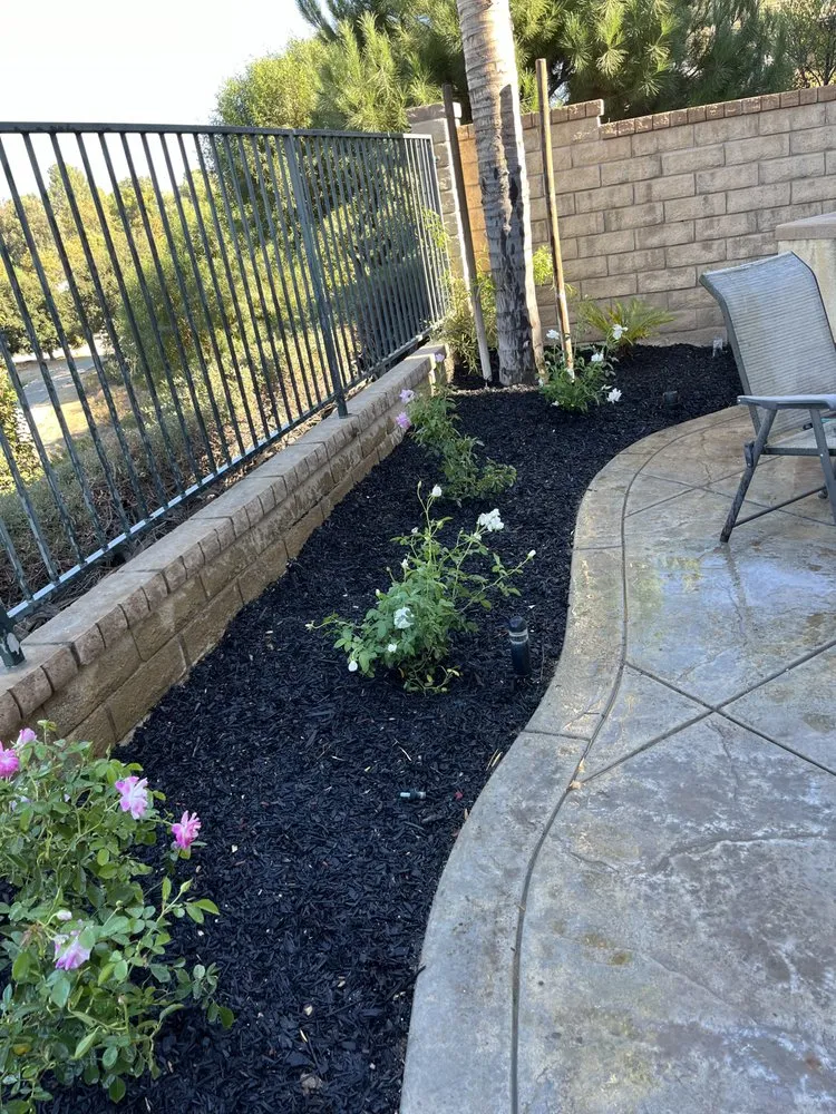 Trusted landscape design in Kagel Canyon, CA - Dario Landscaping