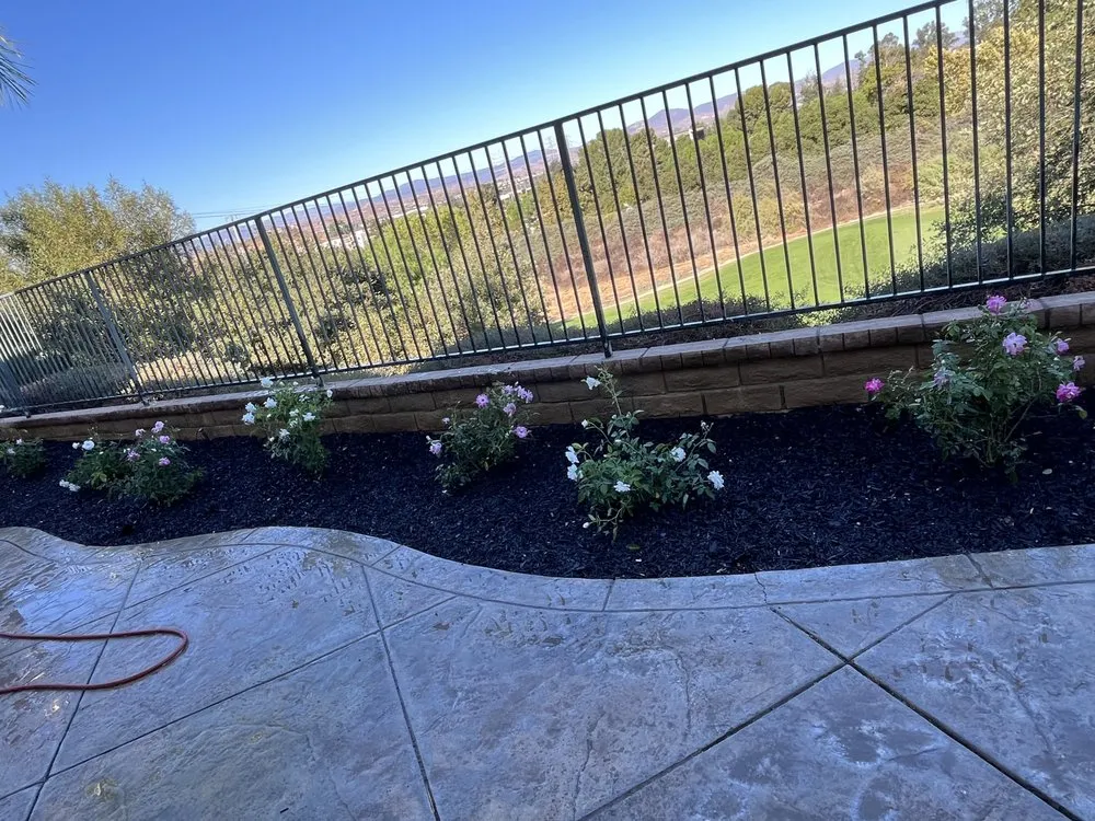 Local residential landscaping experts serving Kagel Canyon, CA - Dario Landscaping