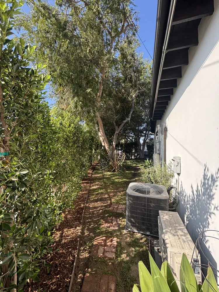 Local residential landscaping in Kagel Canyon, CA by Dario Landscaping