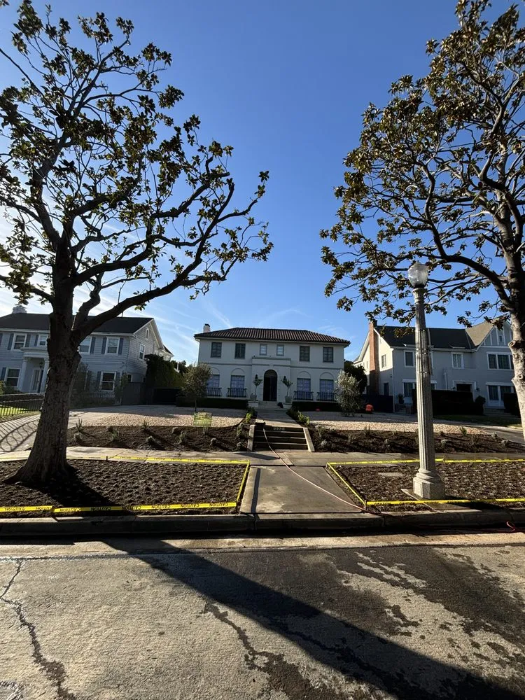 Top-rated lawn care service in Kagel Canyon, CA - Dario Landscaping