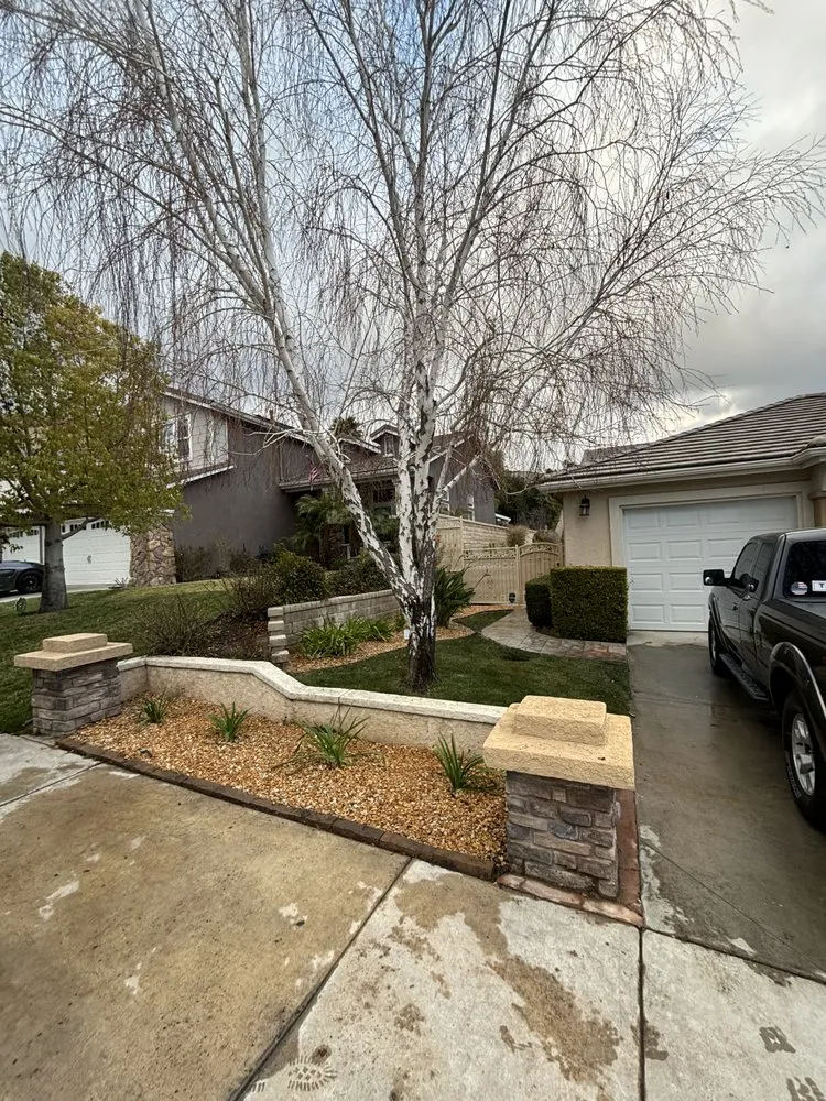 Reliable landscape installation in Kagel Canyon, CA by Dario Landscaping