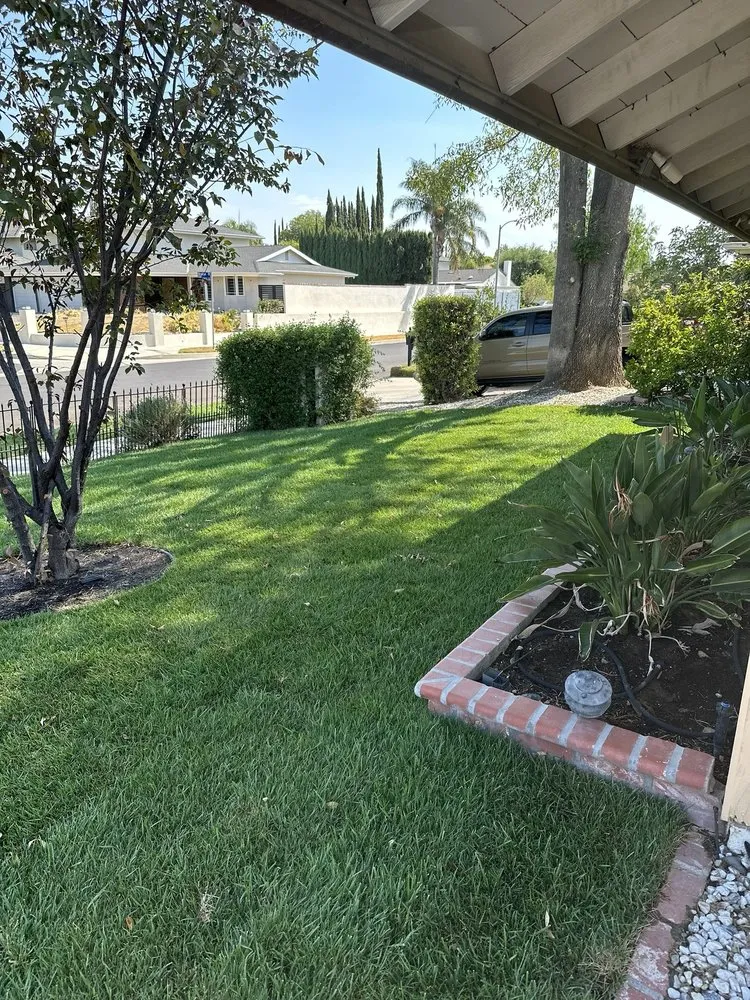 Top-rated landscape installation in Kagel Canyon, CA - Dario Landscaping