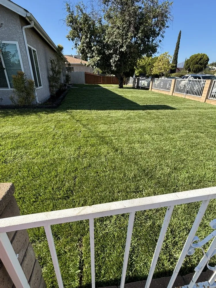 Affordable landscaping services experts serving Kagel Canyon, CA - Dario Landscaping